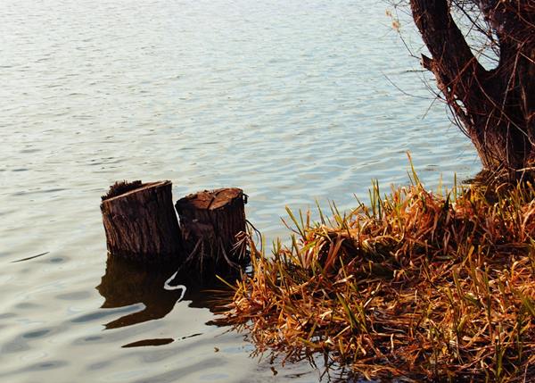 Na borkovackom jezeru, Ruma, 2010.