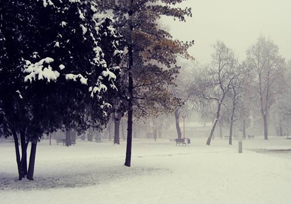 Jedna od omiljenih fotografija.