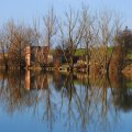 Borkovacko jezero, Ruma...