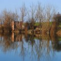 Borkovacko jezero, Ruma