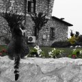 Stanisici, Bosna
